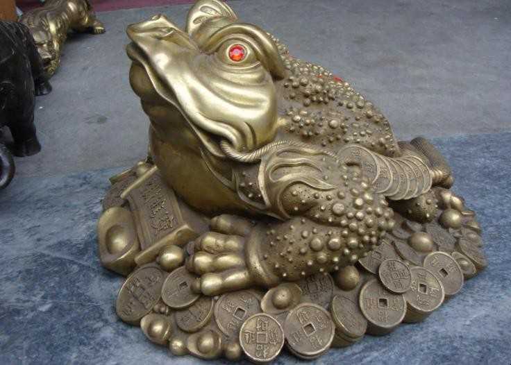 金蟾怎么养
