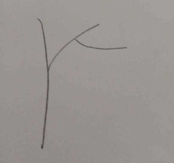银杏树简笔画怎么画