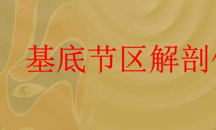 基底节区是啥