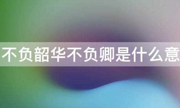 不负韶华不负卿是什么意思