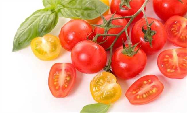 经常吃番茄对身体有4个好处(常吃番茄对身体有什么好处)