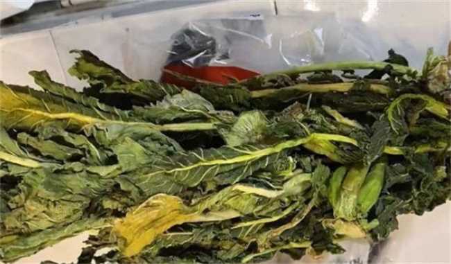 萝卜的叶子能吃吗(小萝卜的叶子能不能吃嫩的萝卜叶子是可以吃的)