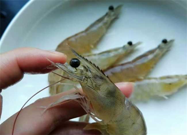 香酥大虾怎么做(香酥大虾的做法非常简单)
