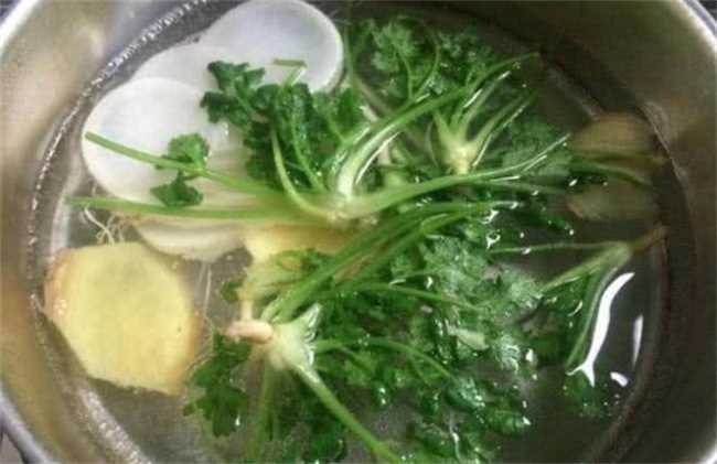 香菜姜汤有什么效果(香菜姜汤的功效与作用)