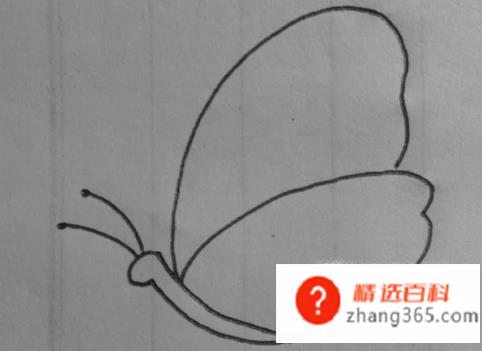 如何画一个简单蝴蝶(怎么画一个简单的蝴蝶)