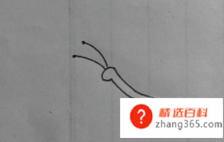 如何画一个简单蝴蝶(怎么画一个简单的蝴蝶)