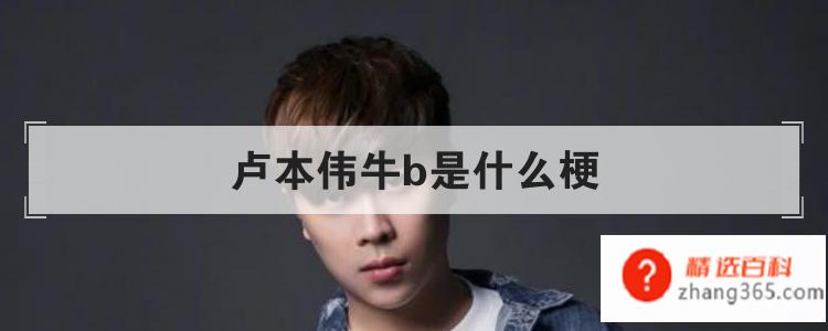 卢本伟牛b是什么梗(LOL职业选手卢本伟有哪些)