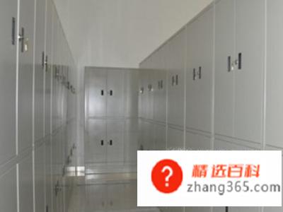 怎么查自己的档案(学信网查看档案信息有哪些)