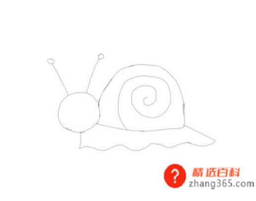 蜗牛简笔画怎么画看这几步一学就会(简笔画蜗牛是怎么画的)