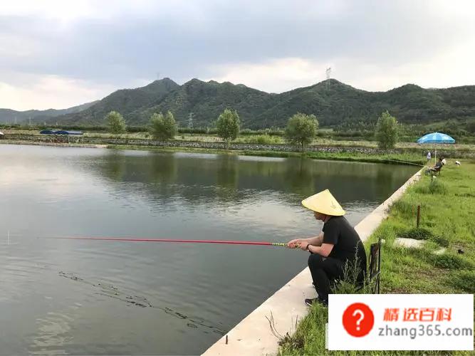新手钓鱼入门基本知识(新手钓鱼的入门基本知识)
