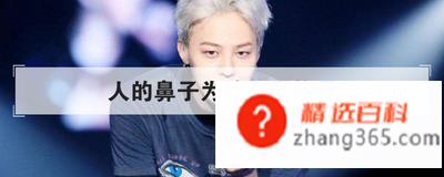人的鼻子为什么是软骨