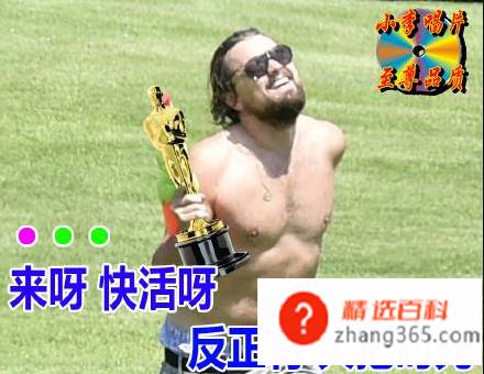 小李子水枪是什么梗?