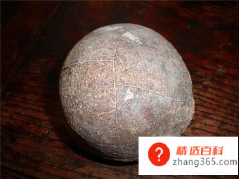 常见假化石的识别与鉴定(一块化石过于完整到了完美的地步)