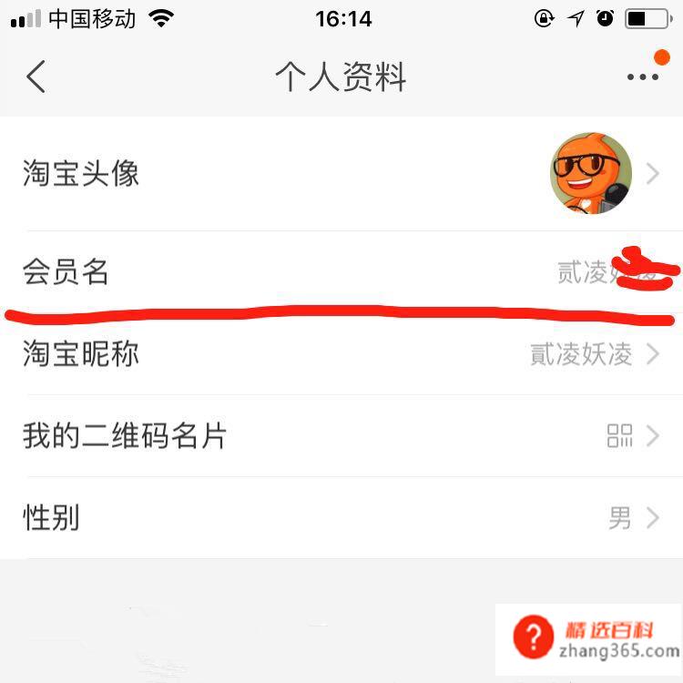 旺旺名是什么?