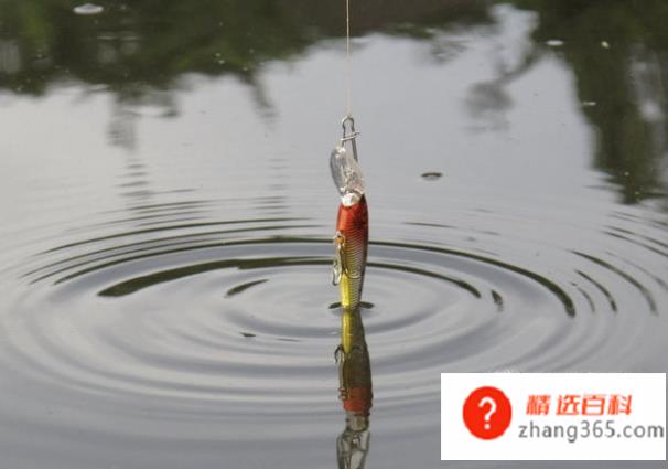 路亚应该怎么玩(钓鱼技巧:路亚钓法操作方法)