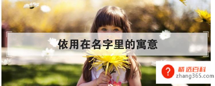 依用在名字里的寓意
