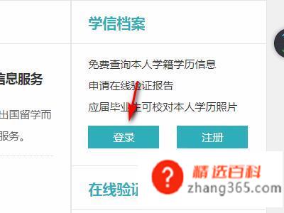 怎么查自己的档案(学信网查看档案信息有哪些)