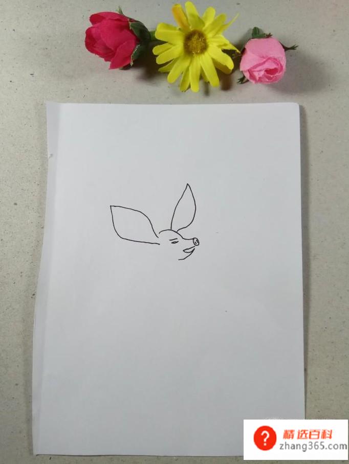 怎样画简笔画猪八戒(怎样画猪八戒)