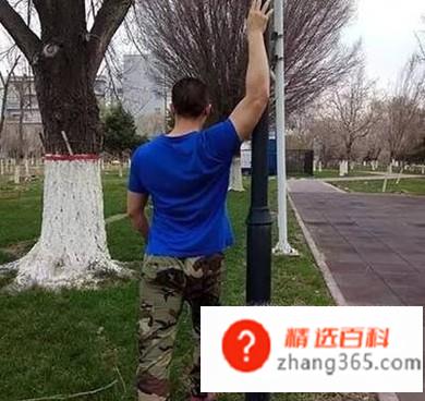 什么是圆肩驼背(圆肩驼背是怎么形成的)