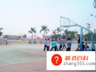打篮球的基本规则(如何控制篮球队员人数)