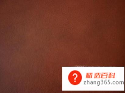 什么颜色在一起搭配最好看(白色和黑色才是最经典的搭配)