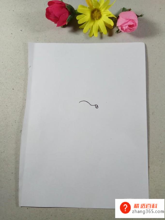 怎样画简笔画猪八戒(怎样画猪八戒)