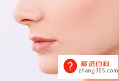 人的鼻子为什么是软骨