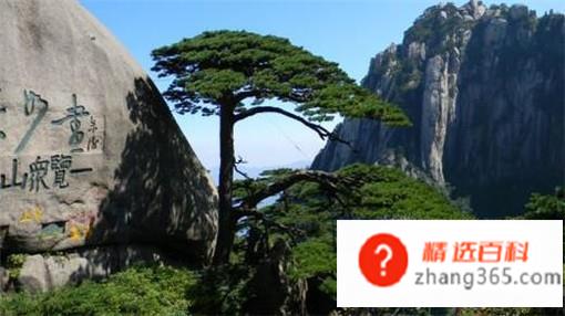 黄山旅游攻略(安徽黄山的旅游攻略有哪些)