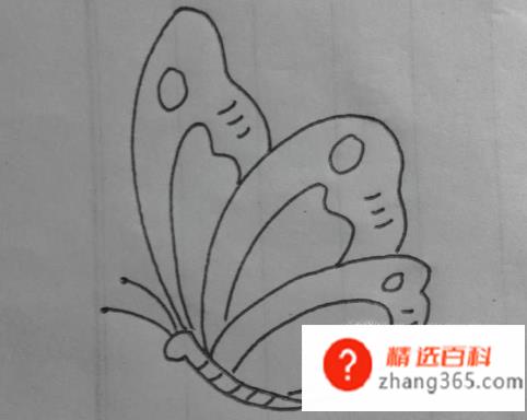 如何画一个简单蝴蝶(怎么画一个简单的蝴蝶)