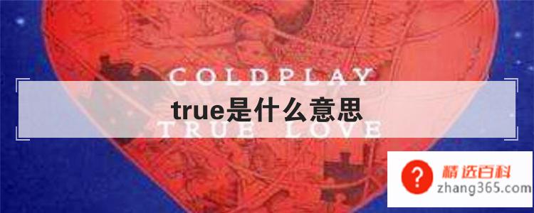 true是什么意思(true这个单词的使用方法)