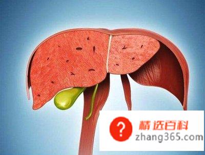 肝脏不好有什么表现症状有哪些