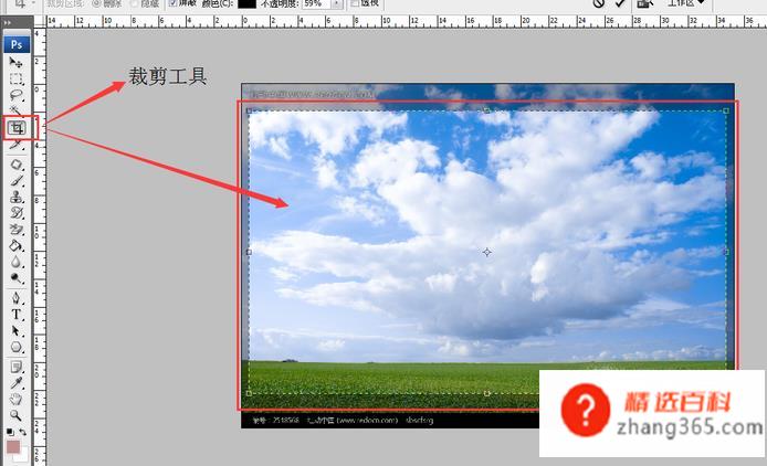 用Photoshop剪裁图片的方法(ENTER裁剪操作方法)