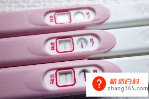 测孕棒怎么看图解