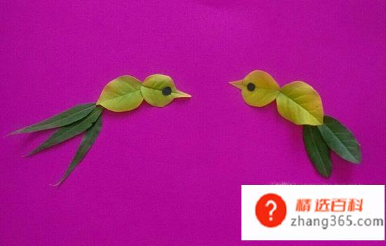 趣味手工制作(叶子创意画)