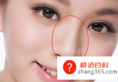人的鼻子为什么是软骨