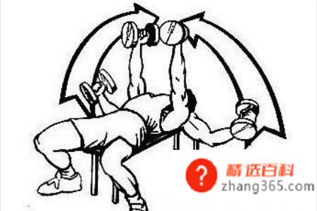 哑铃锻炼方法图解——收藏版(哑铃该怎么使用吗操作方法)