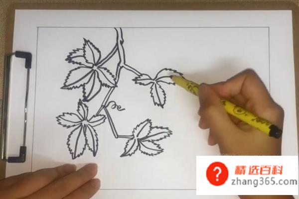 爬山虎怎么画(爬山虎的简笔画操作方法)