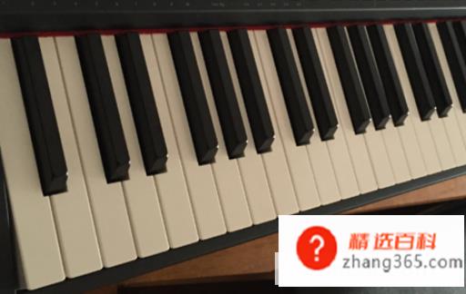 电钢琴和钢琴有什么区别