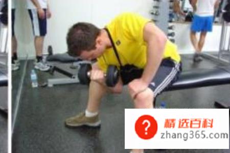 哑铃锻炼方法图解——收藏版(哑铃该怎么使用吗操作方法)