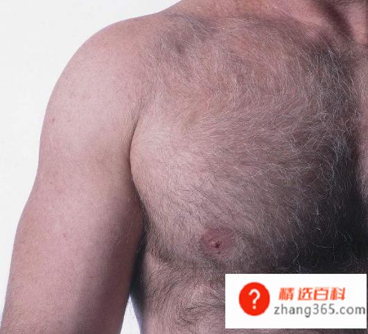 男人为什么会有乳头(男人为什么也有乳头)