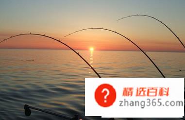 渔具店起名字大全(好听的渔具店名字有什么作用)