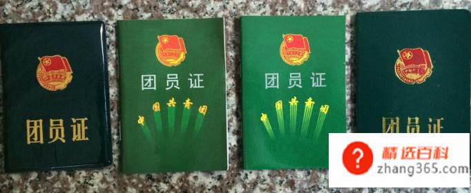 团员编号在哪里查询(共青团证书编号在哪里查询)
