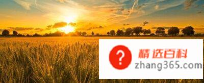 秋天是一个什么样的季节(气象工作者研究的物候学标准)