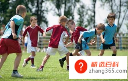 足球的概述与由来