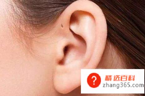 女人最喜欢男人抚摸她身体的哪里