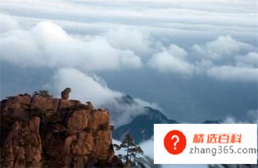 黄山旅游攻略(安徽黄山的旅游攻略有哪些)