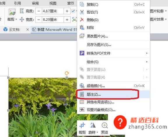 文档如何插入题注和引用图注？