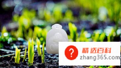 春天来了写一段话该怎么写?