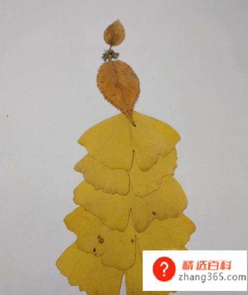 用树叶贴画的方法与步骤(枫叶和小花小草的操作方法)
