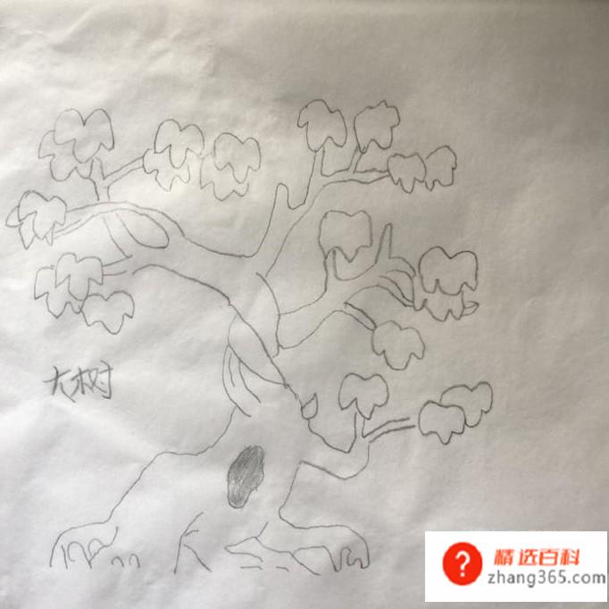 简单大树的手绘画法(如何画出大树左边的枝叶)